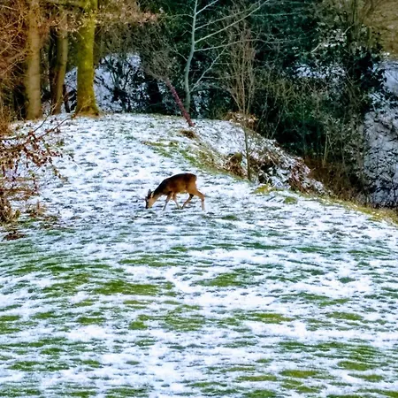 Idyllic Country Cottage, Firbank, Near Sedbergh, Cumbria *
