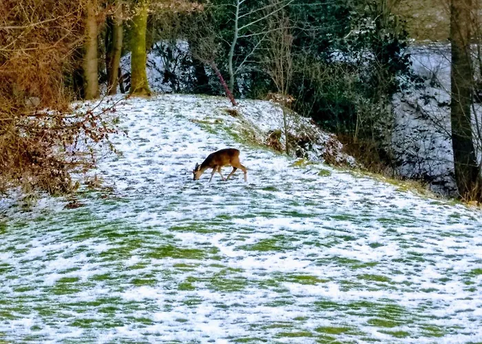 Idyllic Country Cottage, Firbank, Near Sedbergh, Cumbria *